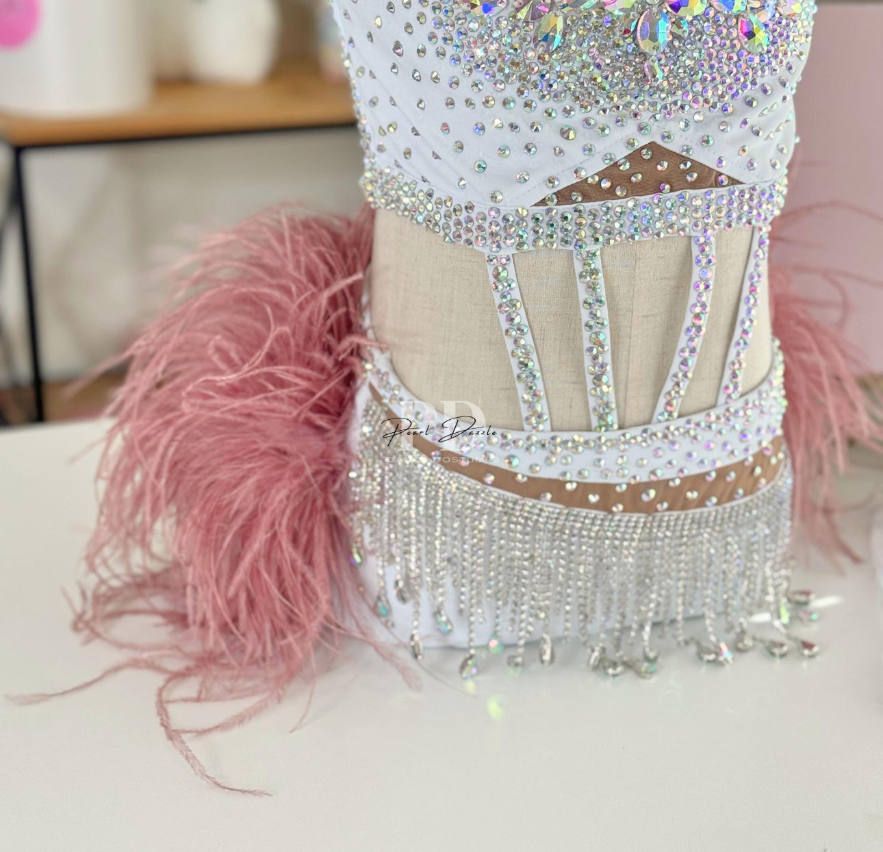 Made to order- Crystal Rose Feathers dance costume